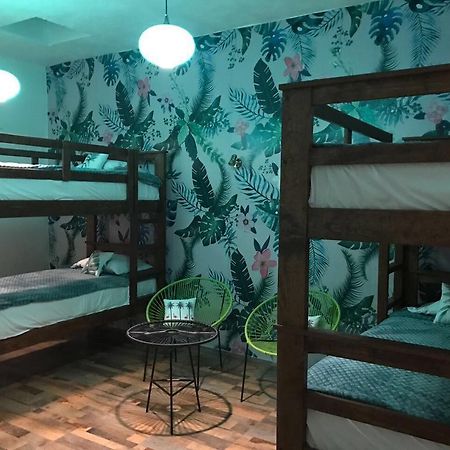 Hoja Santa Hostal Boutique チョルーラ エクステリア 写真