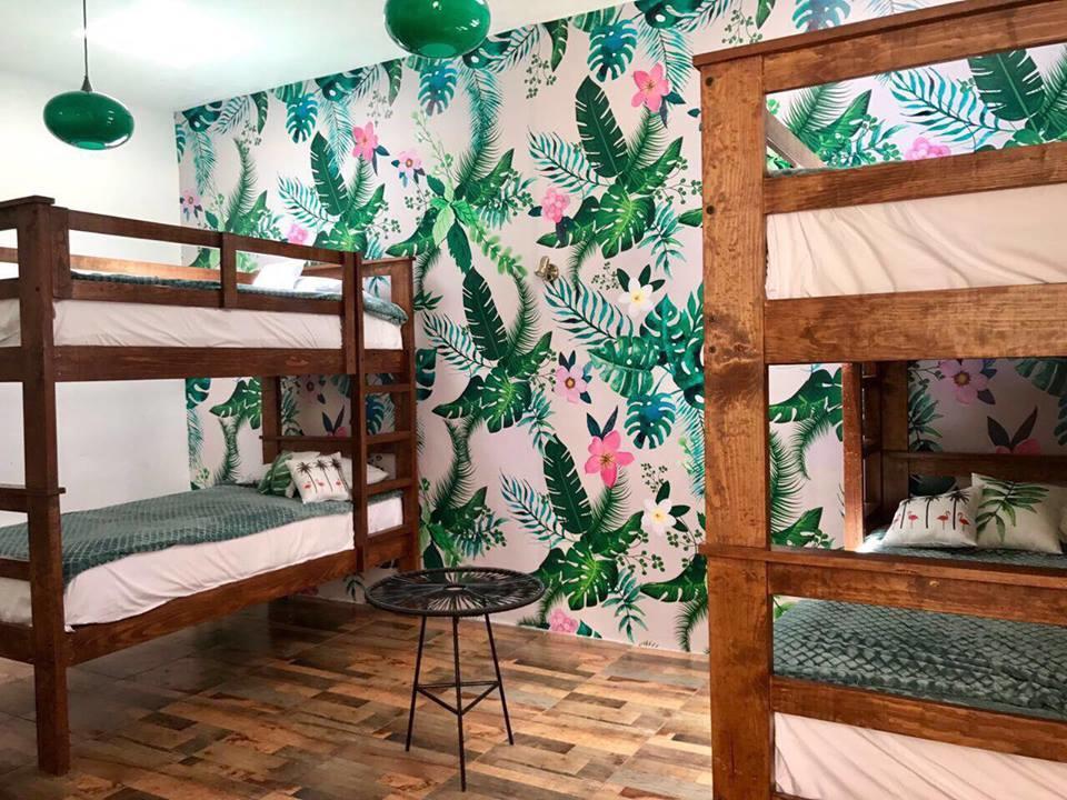 Hoja Santa Hostal Boutique チョルーラ エクステリア 写真