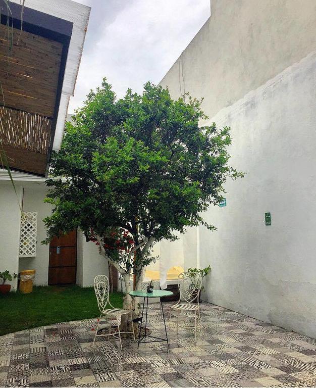 Hoja Santa Hostal Boutique チョルーラ エクステリア 写真